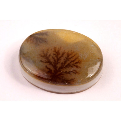 Kabošon Dendrite Quartz č.8357 (35x27x9mm)