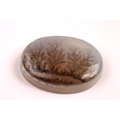 Kabošon Dendrite Quartz č.8358 (35x25x8mm)