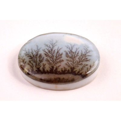 Kabošon Dendrite Quartz č.8360 (33x25x7mm)