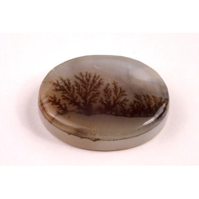 Kabošon Dendrite Quartz č.8363 (32x25x8mm)