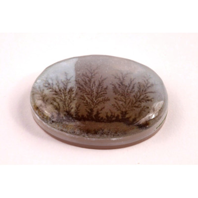 Kabošon Dendrite Quartz č.8367 (34x25x8mm)