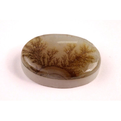 Kabošon Dendrite Quartz č.8369 (32x22x9mm)