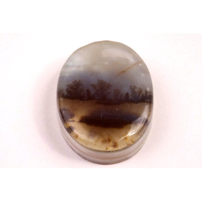 Kabošon Dendrite Quartz č.8371 (32x24x8mm)