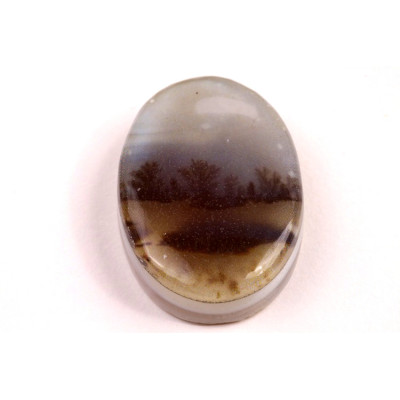 Kabošon Dendrite Quartz č.8373 (33x23x8mm)