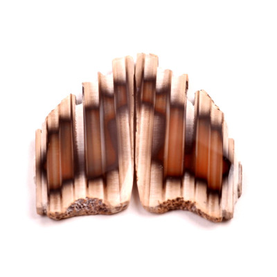 Exkluzivní párové kabošony Sumatra Achát č.P790 (48x23x5mm)