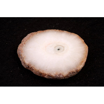 Kabošon Solar Quartz č.1625 (37x32x7mm)