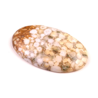 Kabošon Kobra Jaspis č.8523 (43x26x6mm)