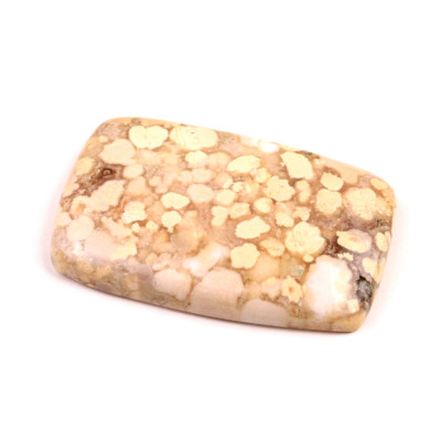 Kabošon Kobra Jaspis č.8526 (39x25x6mm)