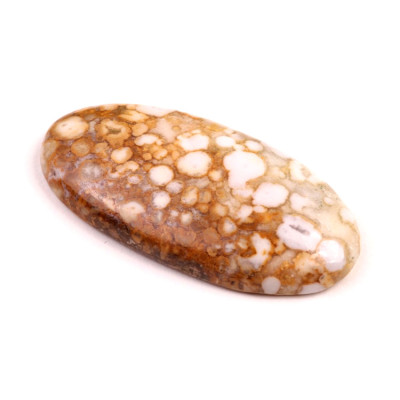 Kabošon Kobra Jaspis č.8528 (45x23x7mm)