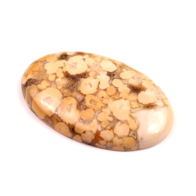 Kabošon Kobra Jaspis č.8533 (43x27x7mm)