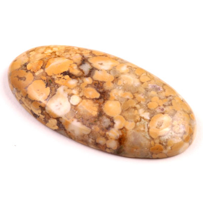 Kabošon Kobra Jaspis č.8536 (52x27x8mm)