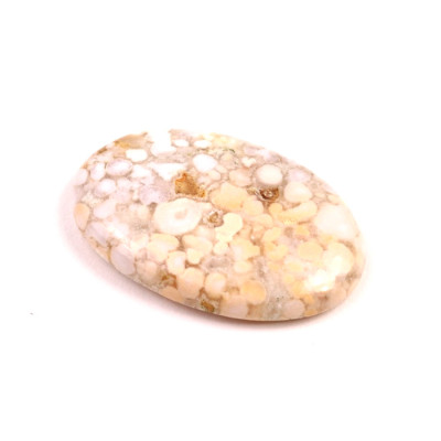 Kabošon Kobra Jaspis č.8539 (36x25x5mm)