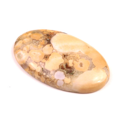 Kabošon Kobra Jaspis č.8541 (44x27x7mm)