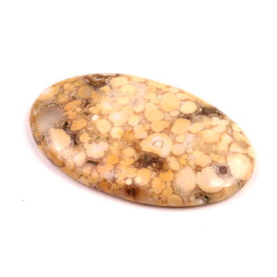 Kabošon Kobra Jaspis č.8542 (44x27x6mm)