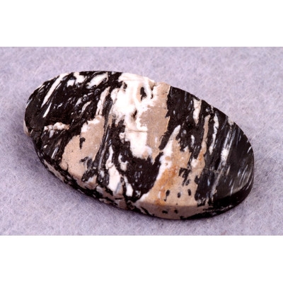 Kabošon Zkamenělé Palmové Dřevo č.8615 (38x23x6mm)