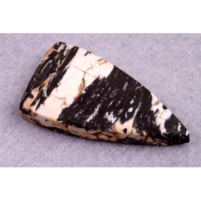 Kabošon Zkamenělé Palmové Dřevo č.8617 (38x20x6mm)