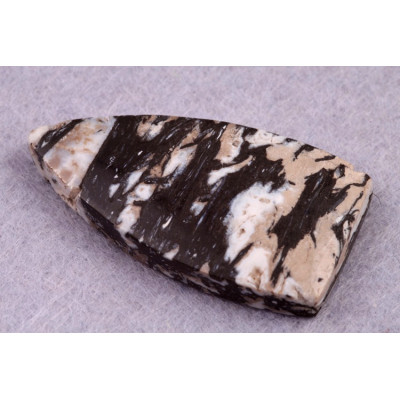 Kabošon Zkamenělé Palmové Dřevo č.8619 (39x21x6mm)