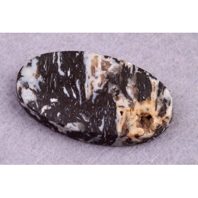 Kabošon Zkamenělé Palmové Dřevo č.8620 (36x22x6mm)