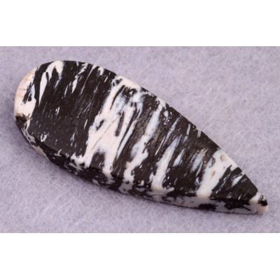 Kabošon Zkamenělé Palmové Dřevo č.8624 (45x19x6mm)