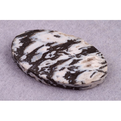 Kabošon Zkamenělé Palmové Dřevo č.8626 (37x22x6mm)