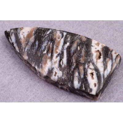 Kabošon Zkamenělé Palmové Dřevo č.8627 (44x22x6mm)