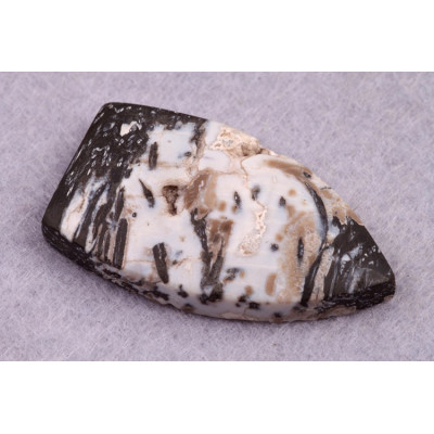 Kabošon Zkamenělé Palmové Dřevo č.8628 (37x21x6mm)