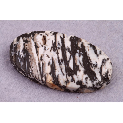 Kabošon Zkamenělé Palmové Dřevo č.8629 (39x22x6mm)