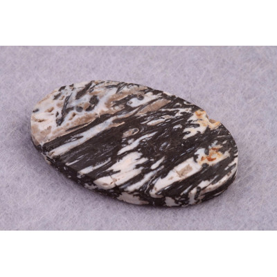 Kabošon Zkamenělé Palmové Dřevo č.8630 (35x20x6mm)