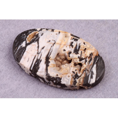 Kabošon Zkamenělé Palmové Dřevo č.8631 (37x23x6mm)