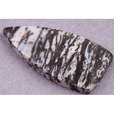 Kabošon Zkamenělé Palmové Dřevo č.8634 (45x22x7mm)