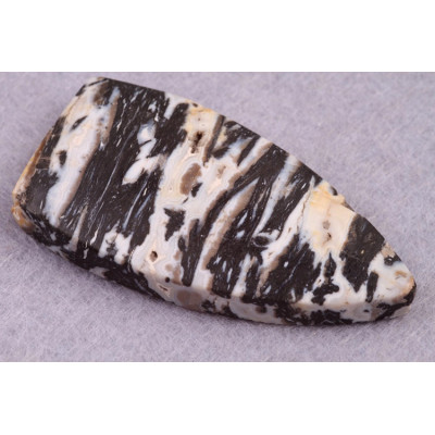 Kabošon Zkamenělé Palmové Dřevo č.8637 (44x23x7mm)