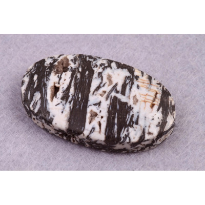 Kabošon Zkamenělé Palmové Dřevo č.8638 (37x22x7mm)