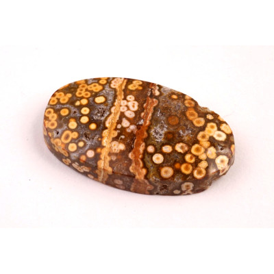 Kabošon River Jasper č.8648 (32x19x6mm)