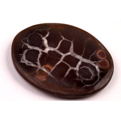 Kabošon Septarian č.315 (42x32x5mm)