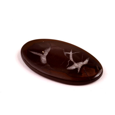 Kabošon Septarian č.330 (38x20x4mm)