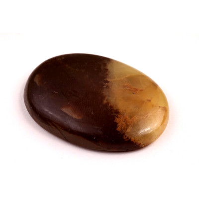 Kabošon Septarian č.3567 (38x27x7mm)