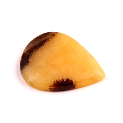 Kabošon Septarian č.3574 (36x29x6mm)