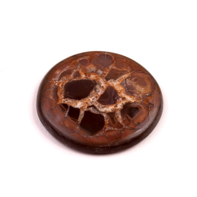 Kabošon Septarian č.4559 (33x5mm)