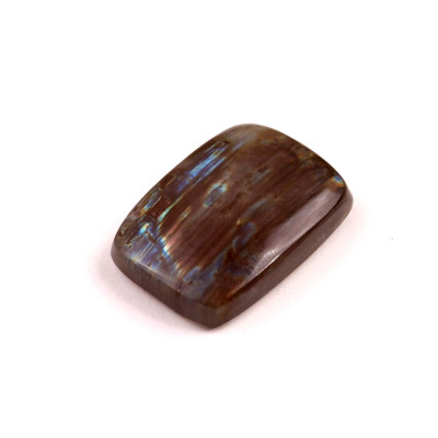 Kabošon Labradorite č.1589 (30x20x7mm)