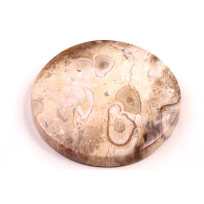 Kabošon Palm Wood č.8877 (39x7mm)