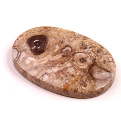 Kabošon Palm Wood č.8878 (48x32x7mm)