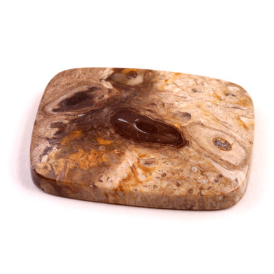 Kabošon Palm Wood č.8879 (43x30x7mm)