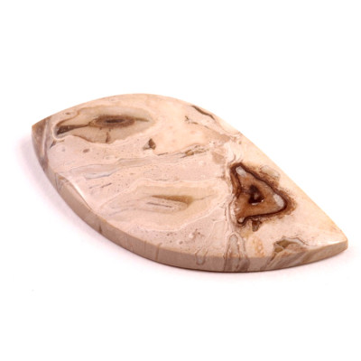 Kabošon Palm Wood č.8880 (50x26x6mm)