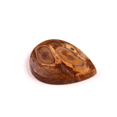 Kabošon Palm Wood č.8883 (31x24x5mm)