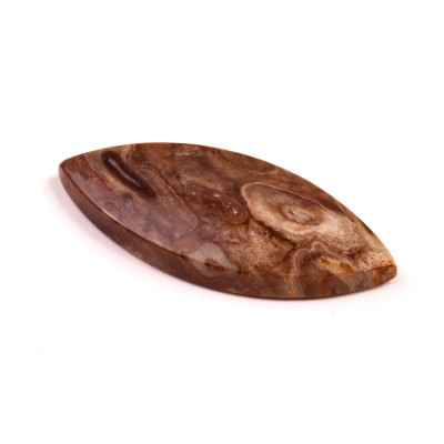 Kabošon Palm Wood č.8884 (44x18x6mm)