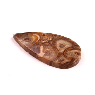 Kabošon Palm Wood č.8885 (41x20x5mm)