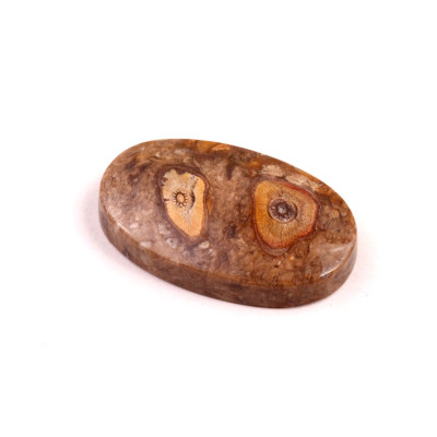 Kabošon Palm Wood č.8886 (33x21x6mm)