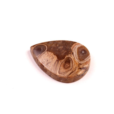 Kabošon Palm Wood č.8887 (30x22x5mm)