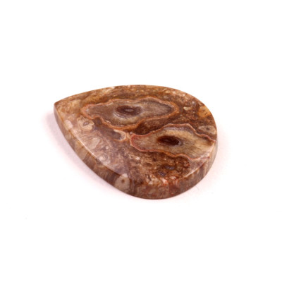 Kabošon Palm Wood č.8891 (33x25x6mm)