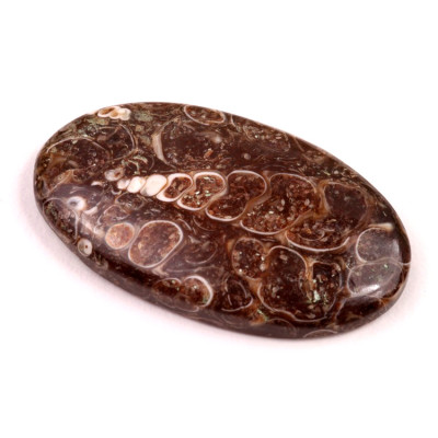 Kabošon Turritella Achát č.6072 (38x22x6mm)